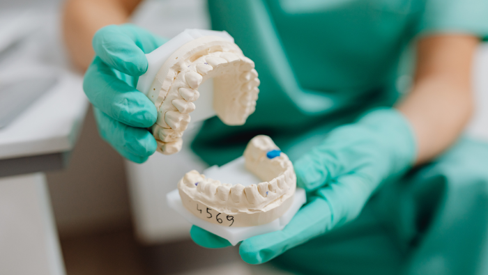 Faculty of Dentistry